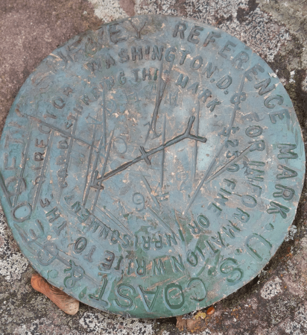Reference Survey Marker