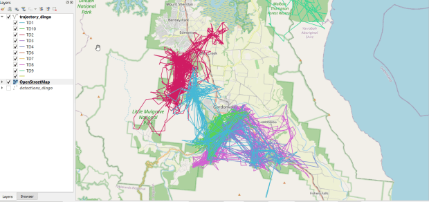 Dingo Paths from ZoaTrack