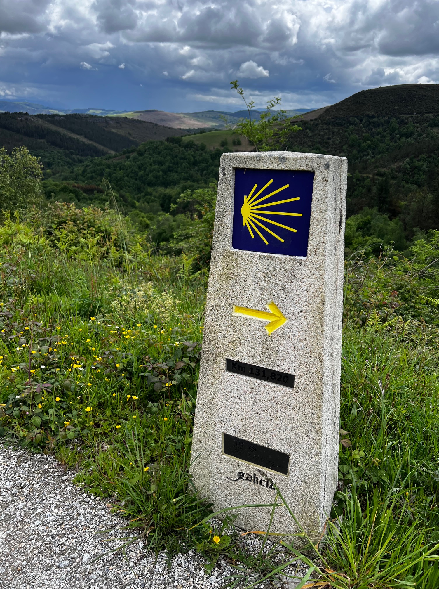 Camino Waymarker Stone