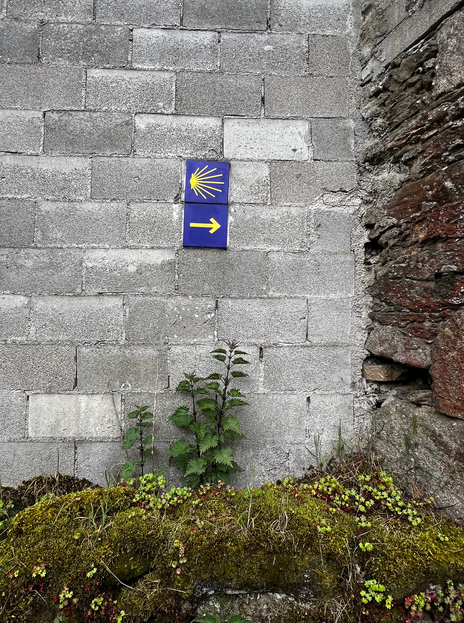 Camino Waymark on a Wall